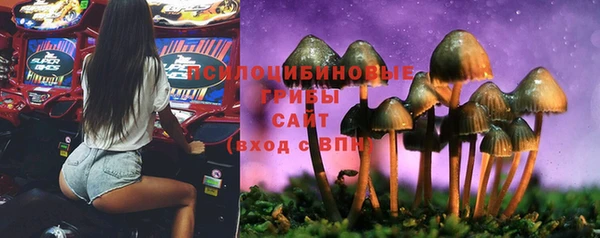 МДМА Карпинск