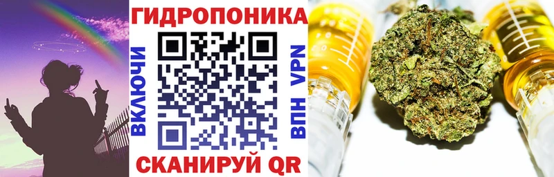 Конопля тримм  Купить закладки  Геленджик 